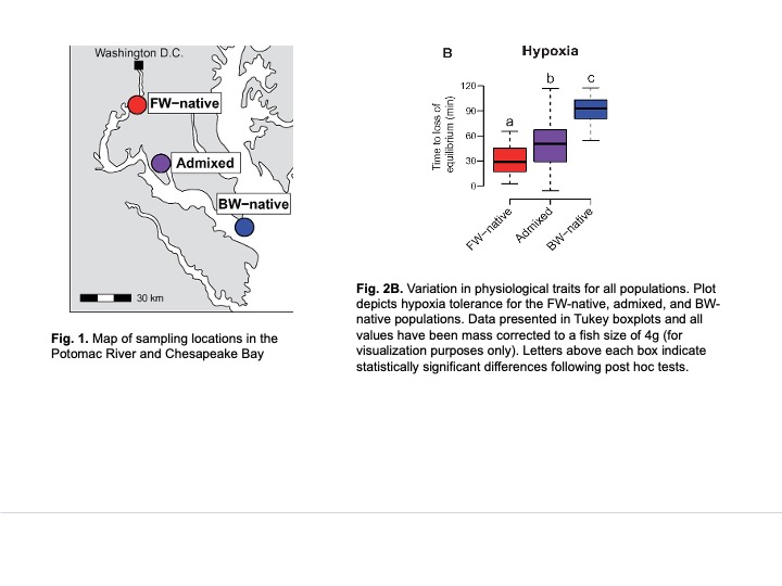 Figures 1 and 2B from Brennan et al., 2018