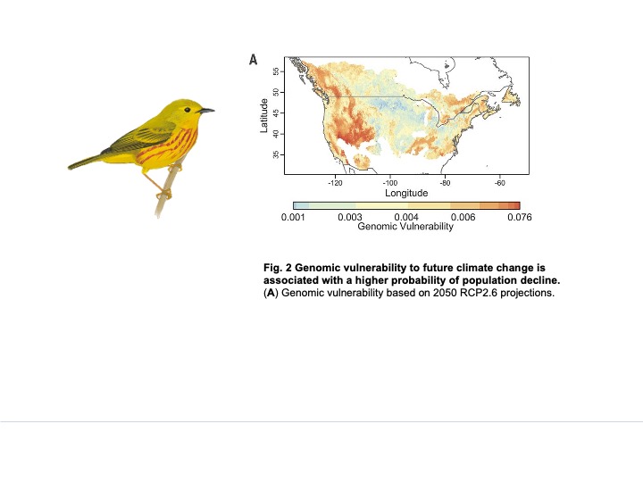 Figure 2A from Bay at al., 2018 