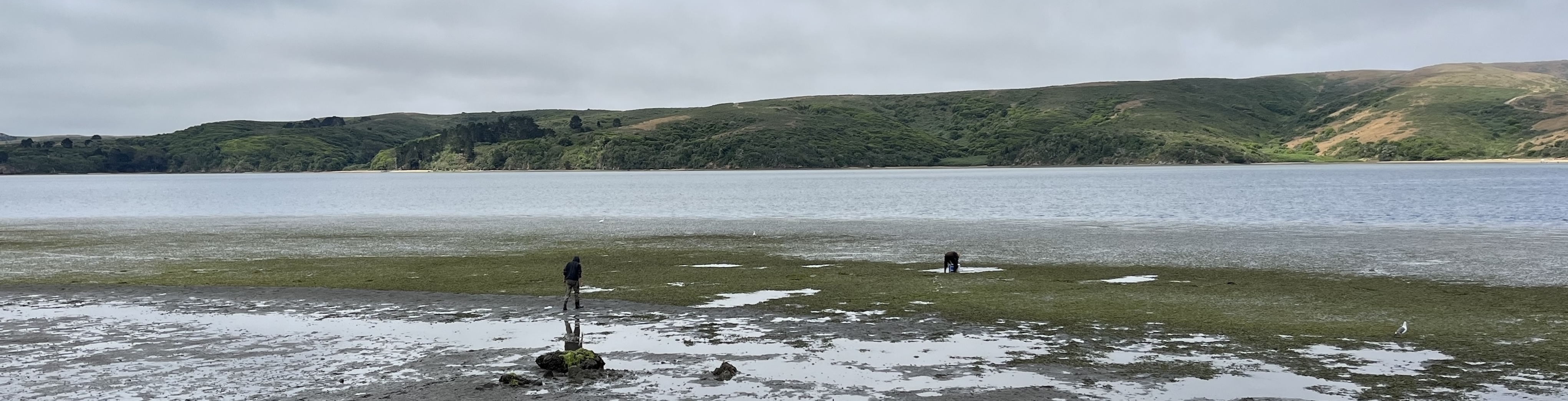 Landscpae Photograph of Blake's Landing